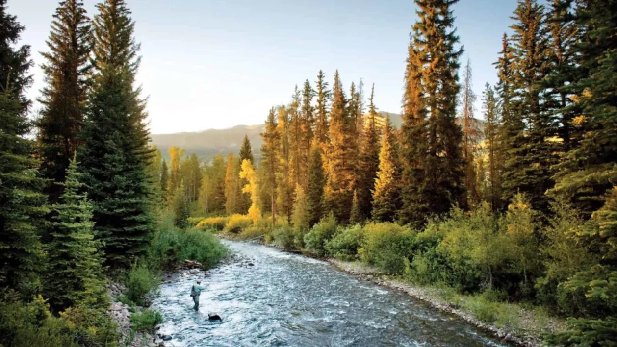 Fly fishing at Montage Deer Valley